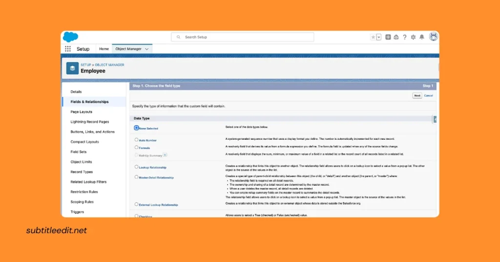 Display Record Counts